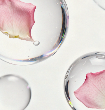 Close-up of a soft pink rose petal suspended inside a clear serum bubble, symbolizing Damask Rose PDRN and Rose Callus Extract used in Gardeny formulas for elasticity, glow, and soothing hydration. This botanical visual reflects the hydrating actives and skin-conditioning benefits that appeal to users searching for gentle, plant-based Korean PDRN skincare.